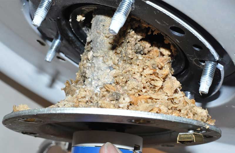 BFTraitement - entretien résistance chauffe eau