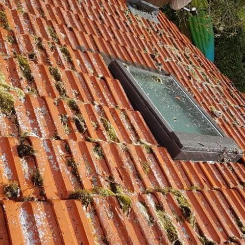  BFTraitement - nettoyage démoussage toiture